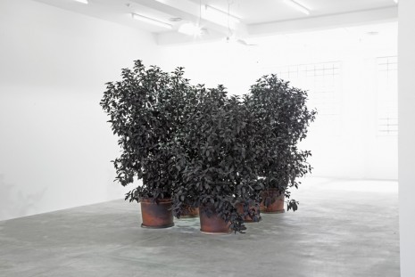 Andrew Dadson, Black Painted Plants (Viburnum Lucidum, Sept. 2013), 2013, Galleria Franco Noero