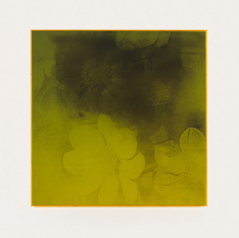 Gaylen Gerber, Clear Sky/Flower, 1997, reframed 2009, Andrea Rosen Gallery (closed)