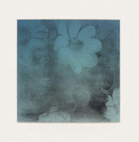 Gaylen Gerber, Clear Sky/Flower, 1997, Andrea Rosen Gallery (closed)