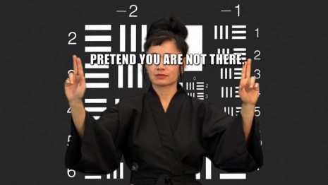 Hito Steyerl, HOW NOT TO BE SEEN A Fucking Didactic Educational .Mov File, 2013, Andrew Kreps Gallery