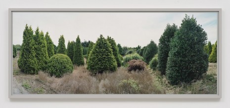 Scott McFarland, Verderber Landscape Nursery, Montauk Highway, Hampton Bays, New York, 2013, Regen Projects