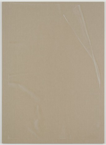 Helene Appel, Plastic Sheet, 2014, James Cohan Gallery
