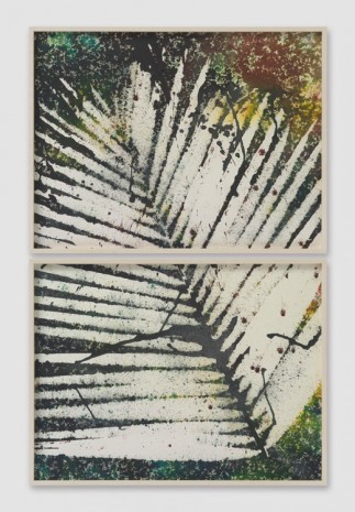 Sam Falls, Untitled (Venice, CA, Palm drawing 3, diptych), 2014, Galerie Eva Presenhuber