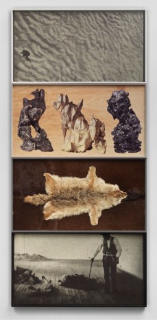 Matthew Day Jackson, A Brief History of the Domestication of Animals, 2014, Hauser & Wirth