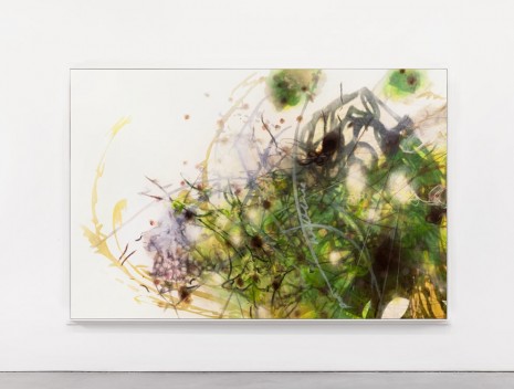 Matthew Ritchie, Link of nature, 2014, Andrea Rosen Gallery