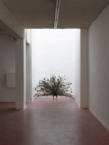 Adel Abdessemed, Alexandre, 2014, Dvir Gallery