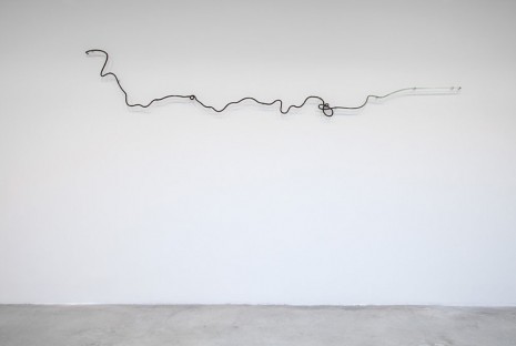 Agnieszka Kurant, The End of Signature, 2014, Tanya Bonakdar Gallery