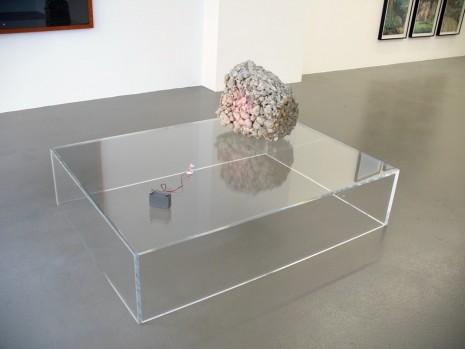 Mandla Reuter, La Fondazione, 2011, Galerie Mezzanin