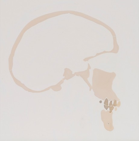 Oliver Beer, 3B Scientific Beauchene Audlt Human skull (central Leg Side), 2014, Galerie Thaddaeus Ropac