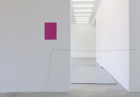 Jason Dodge, A doorway made impassibile by heated line, 2014, Galleria Franco Noero