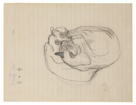 Alice Neel, Siamese Cats, 1950, Victoria Miro