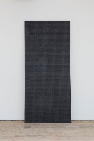 Maria Taniguchi, Untitled, 2014, Ibid