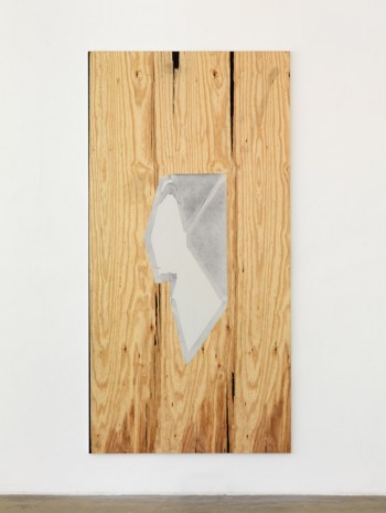Seth Price, Disidentification Program, 2014, Galerie Chantal Crousel