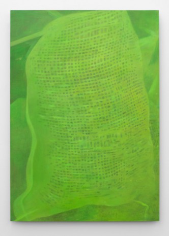 Julia Schmidt, Untitled (Tight Green), 2014, Meyer Riegger