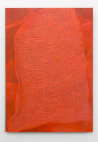 Julia Schmidt, Untitled (Bulk Orange), 2014, Meyer Riegger