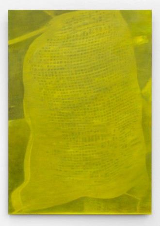 Julia Schmidt, Untitled (Partof the Landscape), 2014, Meyer Riegger