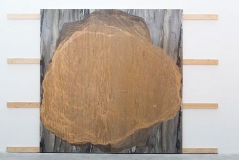Michael DeLucia, Float like a Stone, 2014, Galerie Nathalie Obadia