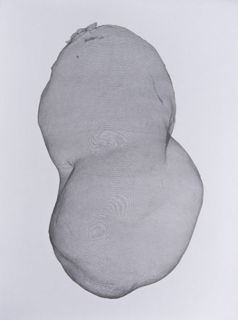 Michael DeLucia, Potato, 2014, Galerie Nathalie Obadia