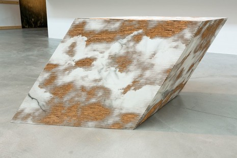 Michael DeLucia, Cloud, 2014, Galerie Nathalie Obadia