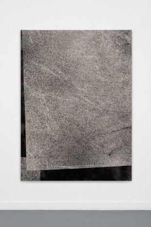 Sam Moyer, Untitled, 2014, rodolphe janssen