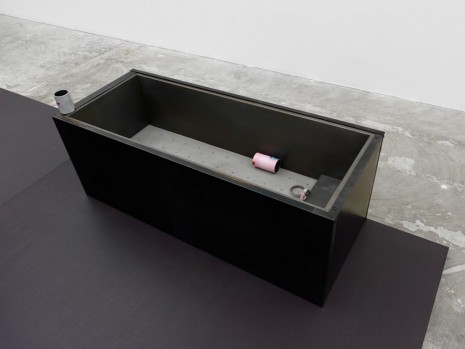 Magali Reus, Lukes (Mist), 2014, Andrea Rosen Gallery