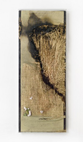 Yves Scherer, Sirens (Flowers), 2014, Galerie Guido W. Baudach