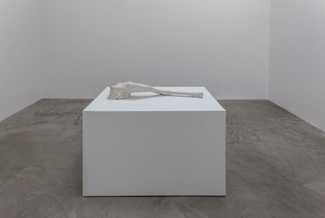 Charles Ray, Pattern, 2014, Matthew Marks Gallery