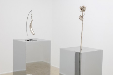 Margaret Lee, Do You See What I See (Banana and Rose), 2014, team (gallery, inc.)