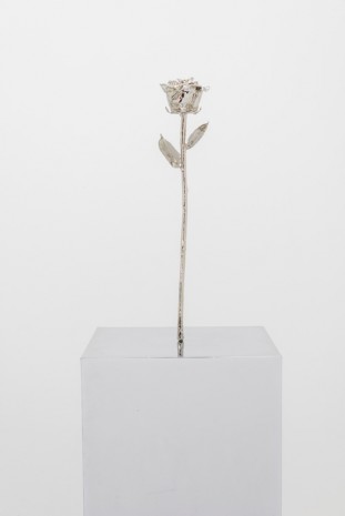 Margaret Lee, Do You See What I See (Rose), 2014, team (gallery, inc.)