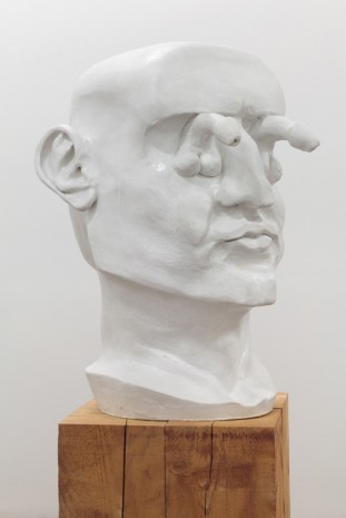 Nicolás Guagnini, Ludwig, 2014, Bortolami Gallery