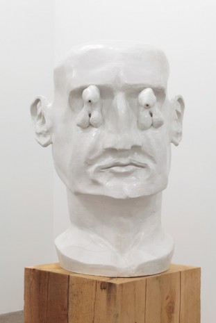 Nicolás Guagnini, David, 2014, Bortolami Gallery