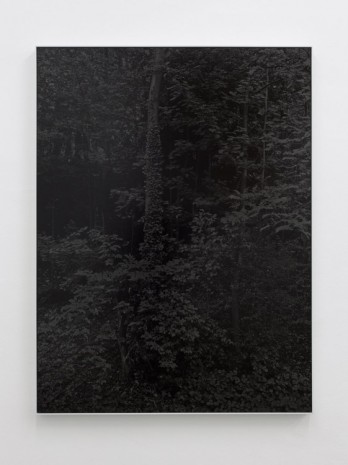 Bianca Brunner, Night (2), 2014, BolteLang