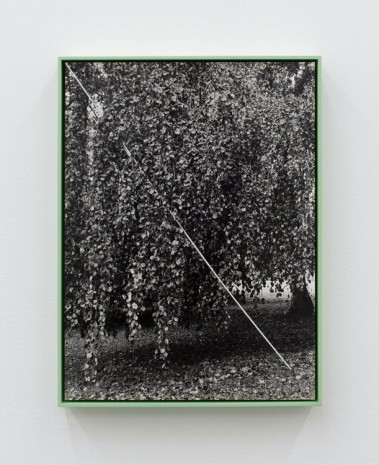 Bianca Brunner, Stick (1), 2014, BolteLang