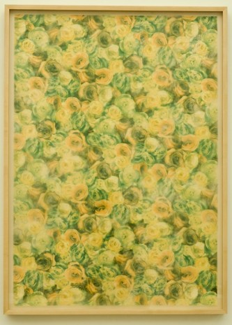 Sherrie Levine, Flower Papers: Green Roses, 2005, Simon Lee Gallery