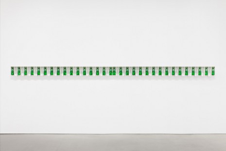 Michael Wang, NSRGYDANOY, 2014, Andrea Rosen Gallery