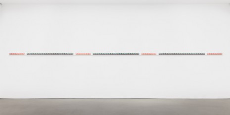 Michael Wang, PFEJNJ, 2014, Andrea Rosen Gallery