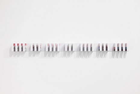 Michael Wang, PMBTI, 2014, Andrea Rosen Gallery