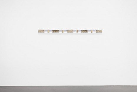 Michael Wang, LRLCYEL, 2014, Andrea Rosen Gallery