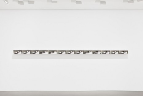Michael Wang, NKEADDYY, 2013, Andrea Rosen Gallery
