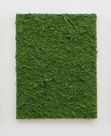 Jacin Giordano, Monochrome (green), 2014, Galerie Sultana