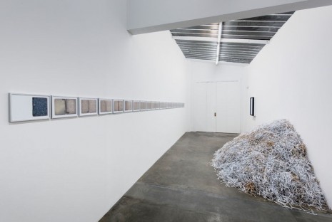 Melik Ohanian, Pulp Off, 2014, Galerie Chantal Crousel