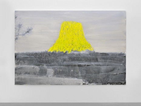 Ida Tursic & Wilfried Mille, Landscape and Yellow, 2014, Almine Rech