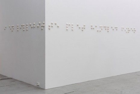 Karin Hald, I feel you (Tender Buttons), 2014, Galleri Nicolai Wallner