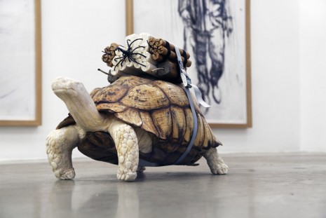 Adel Abdessemed, Turtle, 2015, Christine Koenig Galerie