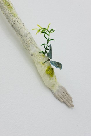 Veit Laurent Kurz, Untitled (Herba - 4 Series) (detail), 2014, Galerie Crèvecoeur