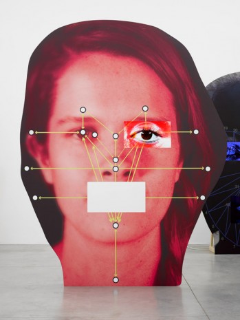 Tony Oursler, COG, 2014, Lisson Gallery