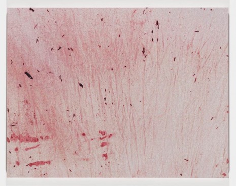 Jack Pierson, CANVAS DYED WITH HIBISCUS TEA, SALT AND CANDLE WAX LEFT TO DRY IN THE SUN, 2001, Maccarone