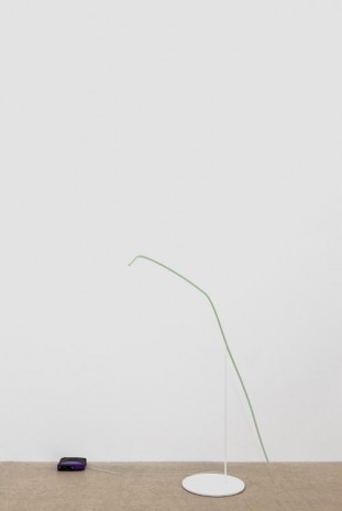 Davide Balula, Coloring the WiFi Network (with Pale Green), 2015, galerie frank elbaz