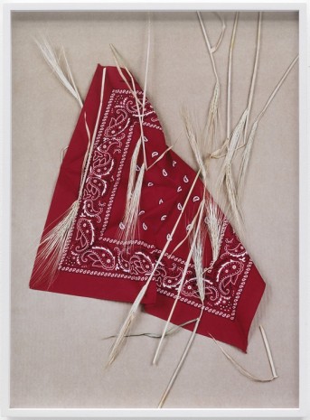 Annette Kelm, Paisley and Wheat Red, 2013, Giò Marconi