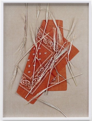 Annette Kelm, Paisley and Wheat, Orange # 1, 2013, Giò Marconi